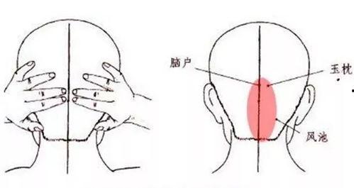 鸣天鼓正确手法视频,精准动作与技巧全解析