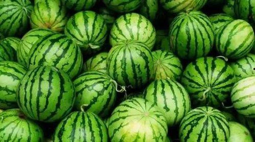 今日最大的瓜是什么瓜,揭秘今日最大“瓜”背后的真相