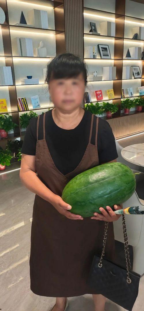 今日最大的瓜是什么瓜,揭秘今日最大“瓜”背后的真相