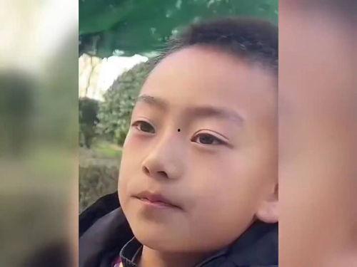 瓜姐今日吃瓜是真的吗,揭秘真相，探寻网络传闻背后的真实故事