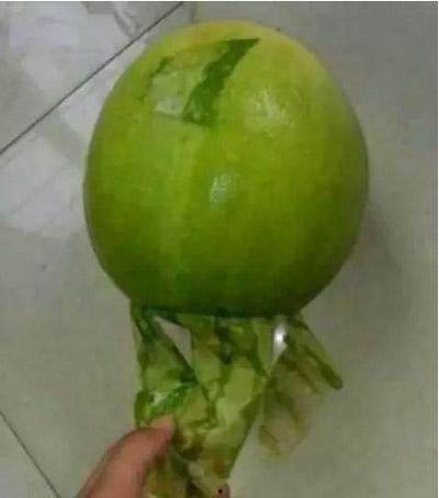 今日吃瓜每日吃瓜的意思,跟随吃瓜群众，畅享娱乐盛宴