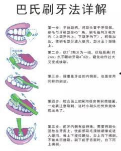 巴氏刷牙法视频,高效口腔护理技巧全解析