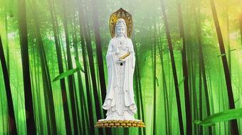 观音菩萨视频