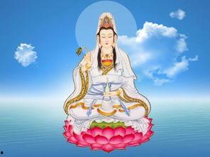 观音菩萨视频