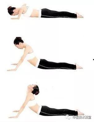 瘦腹部的运动视频,跟随视频轻松打造平坦腹部