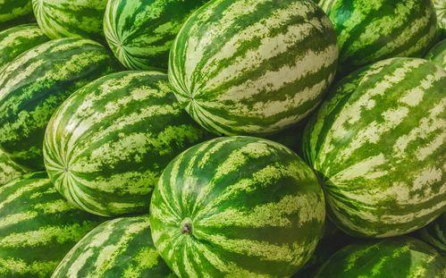 今日大瓜每日吃瓜,揭秘娱乐圈最新热点事件