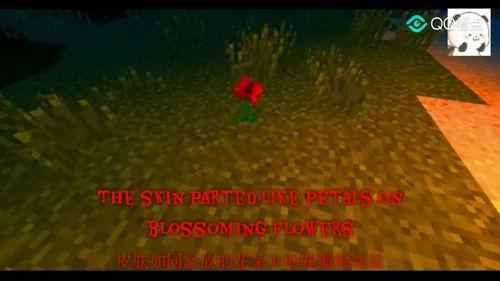 我的世界恐怖视频,揭秘我的世界恐怖视频背后的惊悚世界