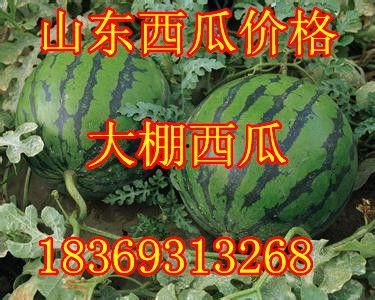 山东菜价今日行情红瓜,红瓜价格走俏，市民抢购热潮