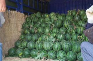 山东菜价今日行情红瓜,红瓜价格走俏，市民抢购热潮