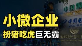 谷露视频,揭秘生活点滴，探寻美好瞬间