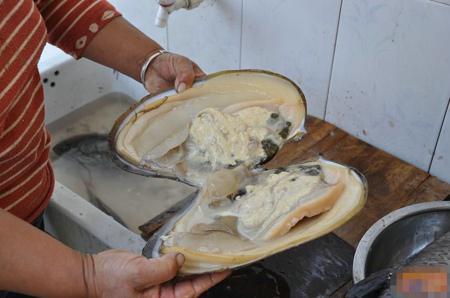 河蚌的做法与清洗视频,河蚌清洗与处理技巧全解析