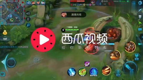 吃瓜爆料背景音乐是什么,揭秘“吃瓜爆料”背景音乐背后的故事