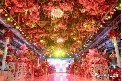 东方伊甸园 视频,探寻神秘东方的奇幻之旅