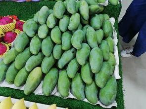 宁明吃瓜爆料,揭秘娱乐圈背后的惊人真相