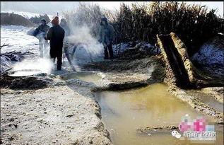 新疆淘金视频,探寻黄金宝藏的传奇之旅