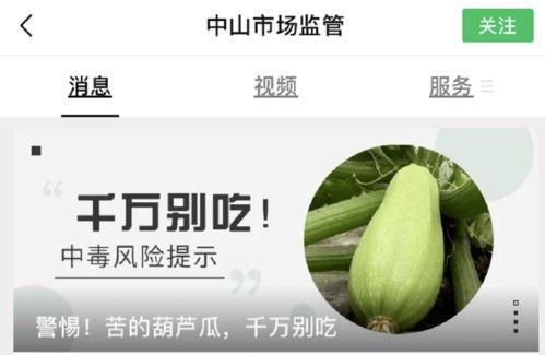 吃葫芦瓜拉黑便,葫芦瓜饮食与黑便现象探究