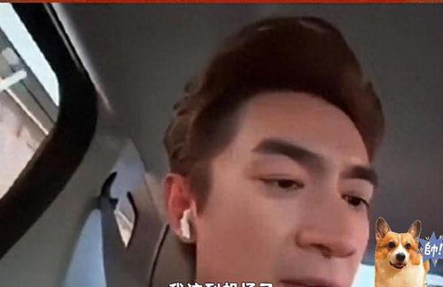 林更新视频,揭秘明星日常，展现真实魅力