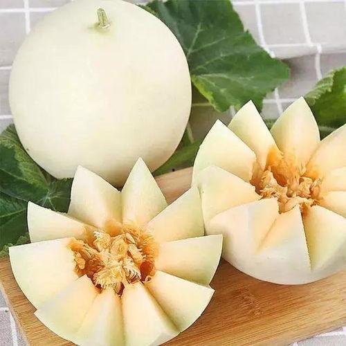 宿迁小白瓜今日价格,实惠之选，市场行情一览