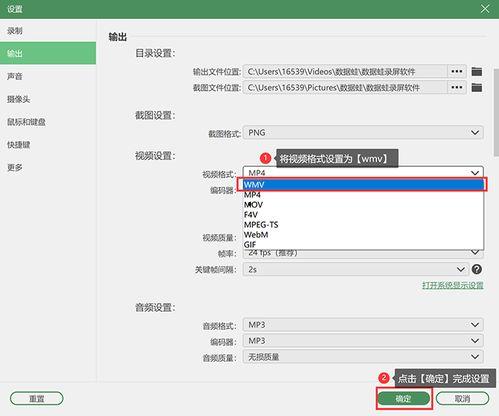 wmv格式视频下载,轻松获取与播放高清视频