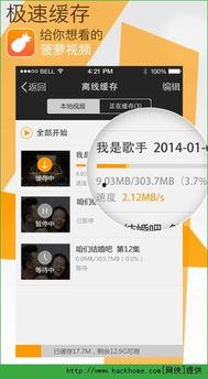 菠萝视频,探索短视频新潮流，解锁精彩瞬间