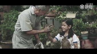 关于善良的视频