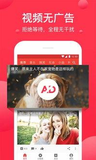 新吃瓜重磅爆料视频下载,揭秘视频背后的惊人真相！