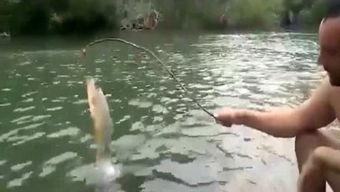 野外爱爱视频,揭秘户外浪漫瞬间