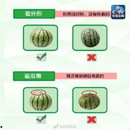 爆料吃瓜模板怎么写的啊,最新爆料，吃瓜群众纷纷围观！