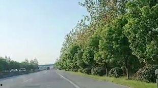 路上风景视频,一路美景尽收眼底