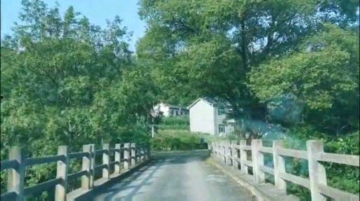 路上风景视频,一路美景尽收眼底