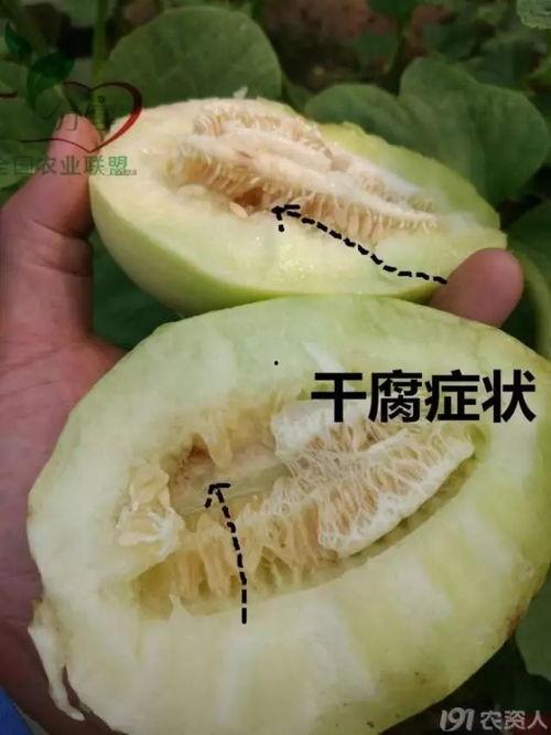 吃瓜的黑图怎么弄,揭秘网络热传“吃瓜黑图”背后的故事与影响