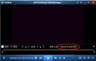 截取一段视频,一窥XX事件全貌