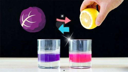 科学小实验视频,跟随实验视频解锁知识之门