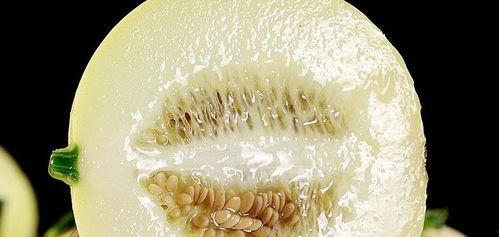 今日吃瓜盘点,娱乐圈新鲜事一网打尽