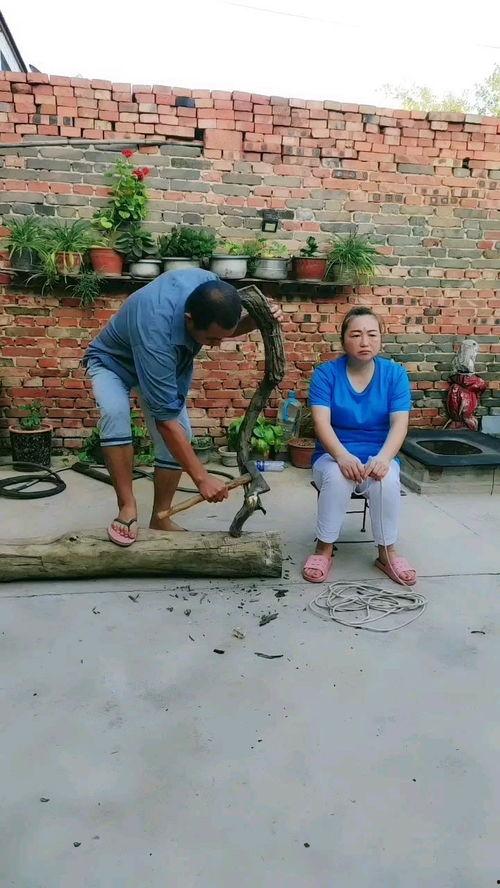 农村搞笑视频,农村搞笑视频大盘点