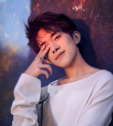 吃瓜爆料杨洋与易烊千玺,娱乐圈的神秘瓜田，揭秘两位当红小生的幕后故事