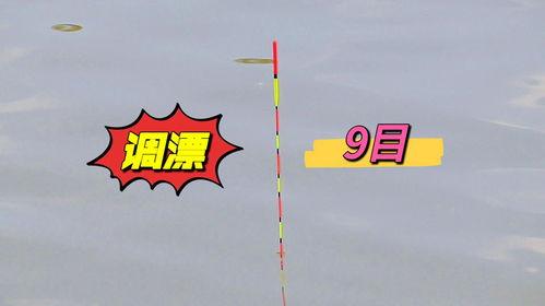 带钩调漂视频,漂动间捕捉鱼儿踪影——带钩调漂技巧揭秘