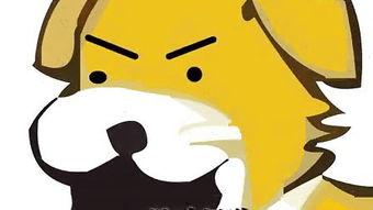 一只哈巴狗儿歌视频,萌宠欢歌，萌态可掬