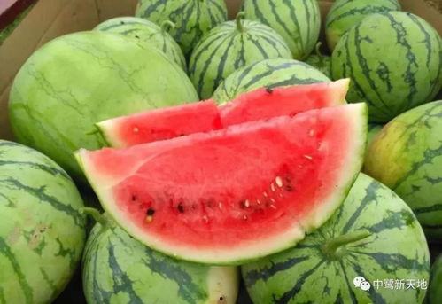 59cg10吃瓜爆料,揭秘娱乐圈最新吃瓜大事件