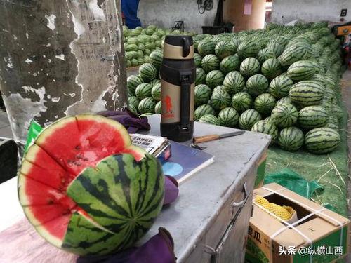 拂手瓜今日价格,市场波动下的行情解析