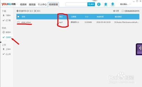 怎样提取视频中的音频,从视频中高效提取音频的实用指南