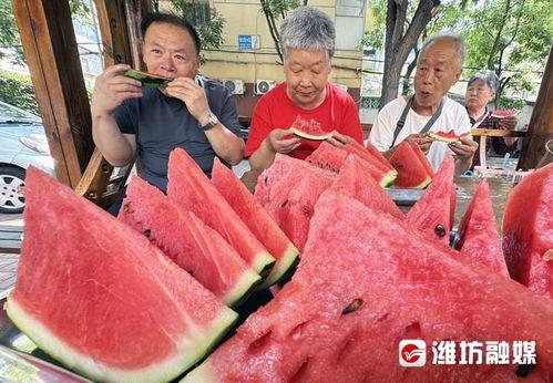 原平吃瓜最新事件爆料是真的吗,最新爆料真相揭秘