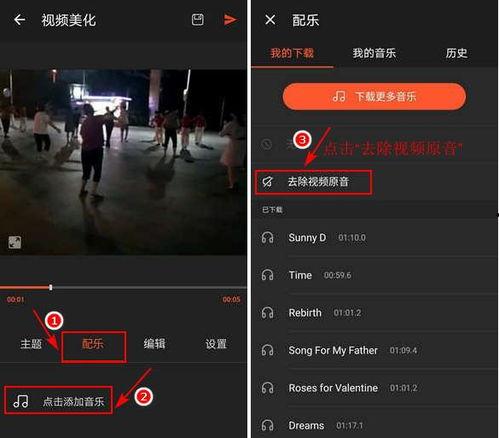 视频消音,视频消音技术揭秘