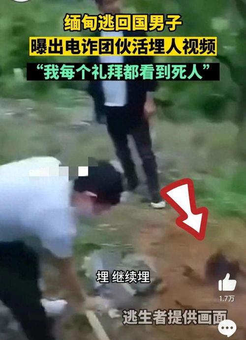 吃吊视频,揭秘吃吊视频背后的美食奥秘