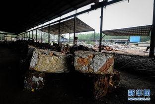 新沂钢厂事件视频,揭秘工厂事故背后的真相