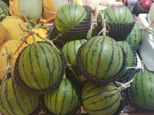 糖果果黑料最新吃瓜事件,揭秘娱乐圈最新吃瓜事件