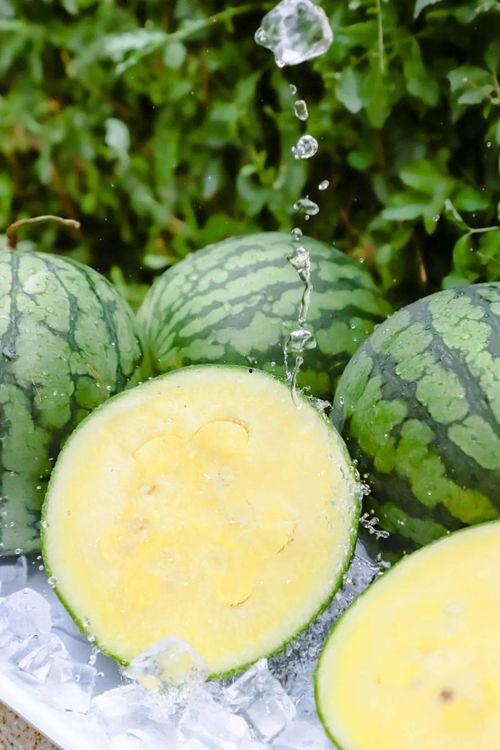 黑料吃瓜网399.SU,揭秘网络八卦背后的真相