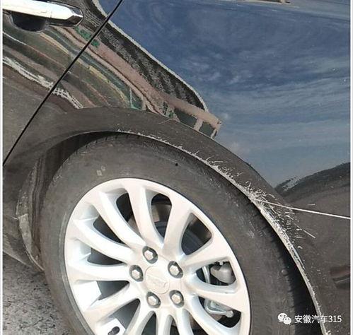 刺激窝视频,揭秘热门短视频背后的魅力与影响力