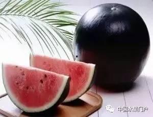 黑料吃瓜5g,5G时代下的吃瓜风云