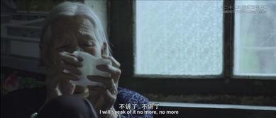 日本道在线观看视频,穿越神秘国度的视觉盛宴